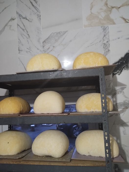 Vând caș și brânză de vacă