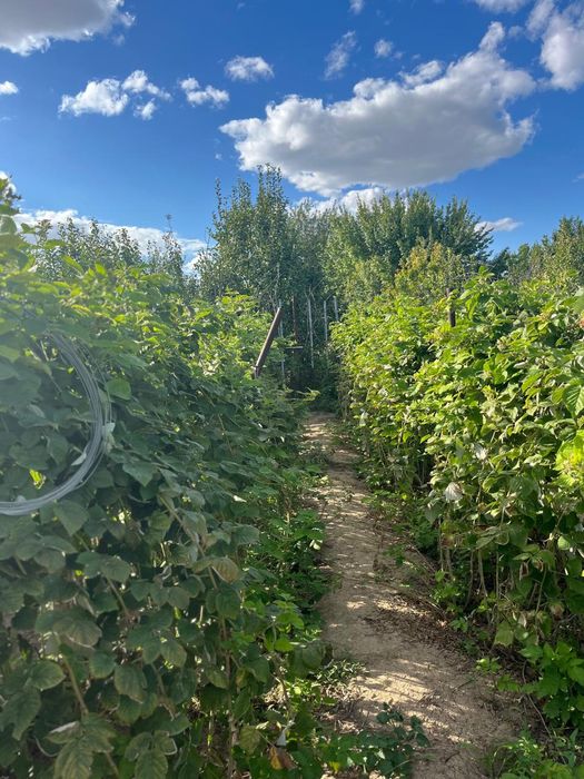 Продается  дом в мкр Коктем