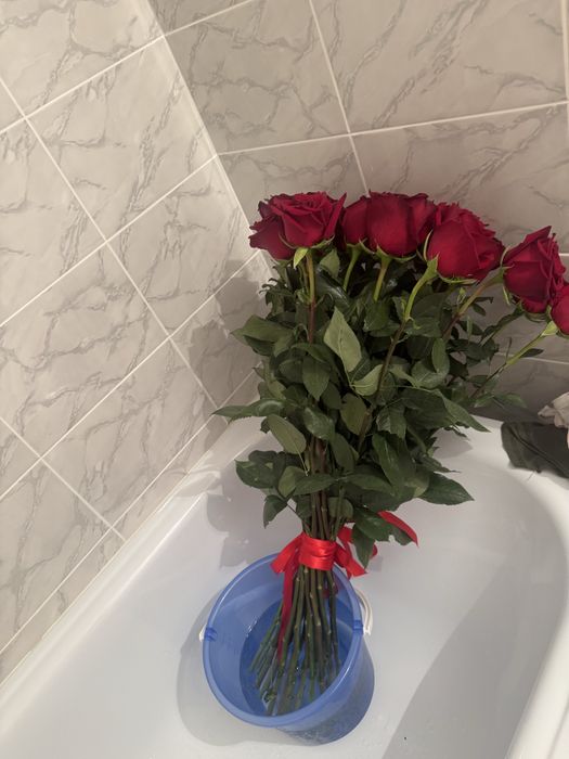 Роза свежий красный