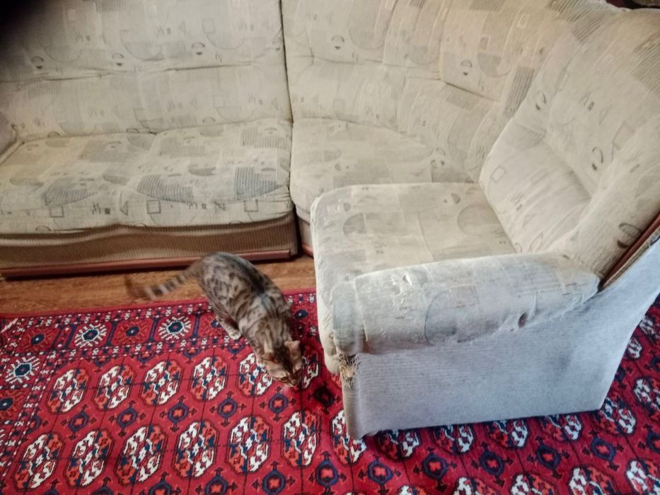 Продается диван СРОЧНО