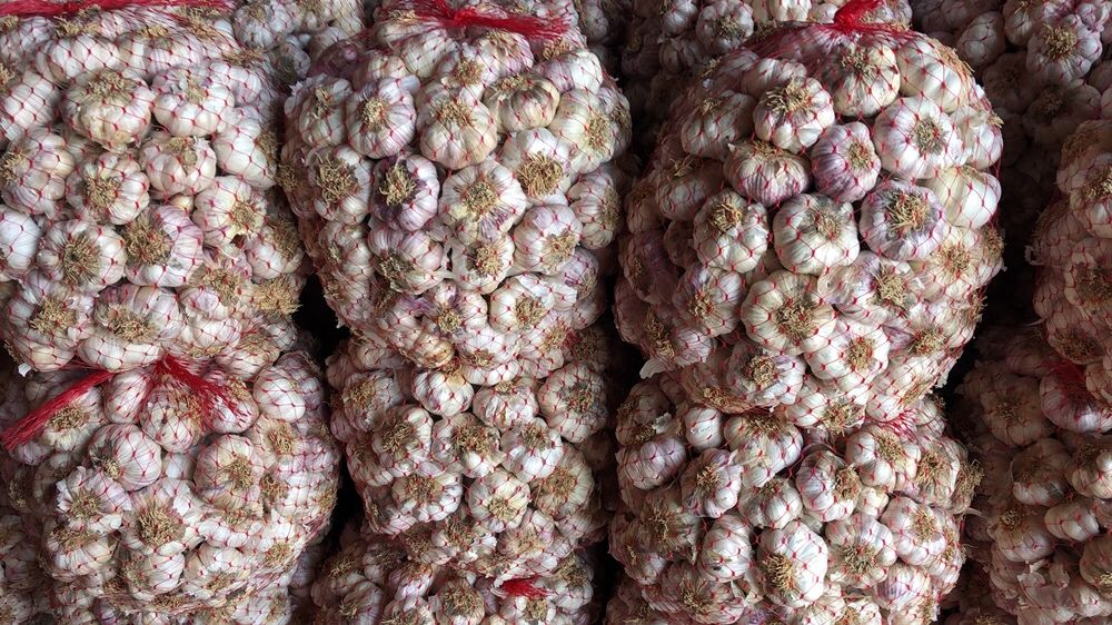 Usturoi pentru mezeluri si murat