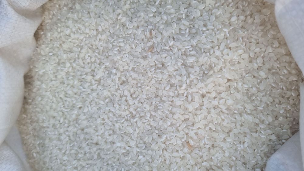 Гуруч Гулистон сифатига жавоб