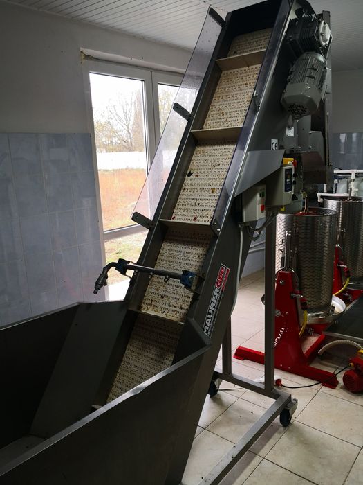 Tocator fructe profesional cu spalator, elevator Germania, inox