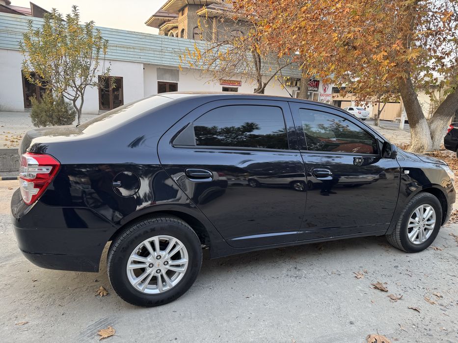 Cobalt 2024 ideal Radnoy kraska