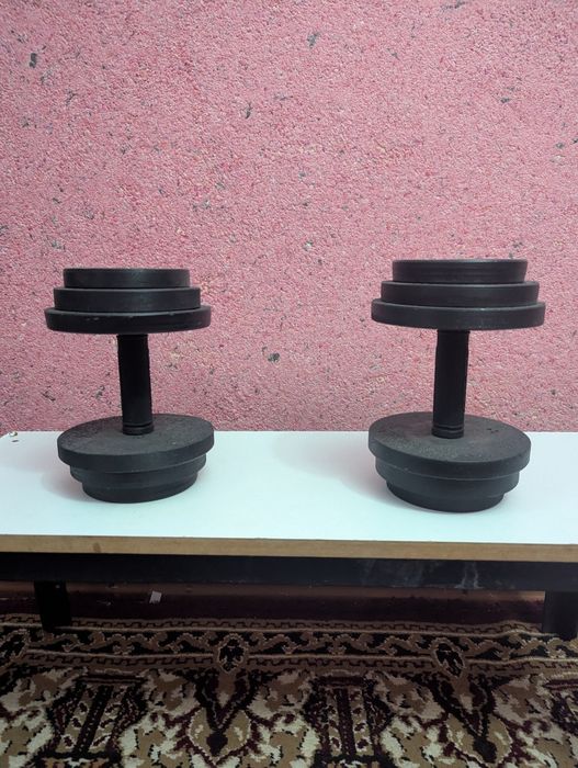 Gantel Гантели 12кг 12kg