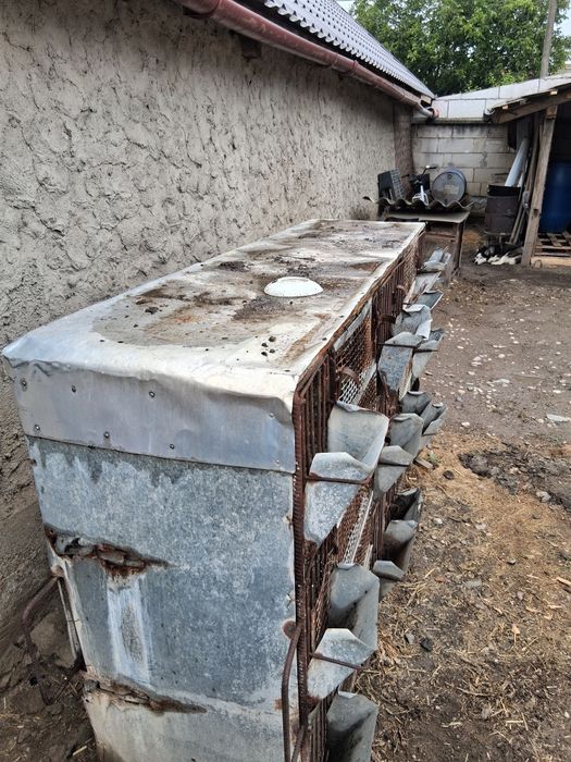 Vand cusca de iepuri