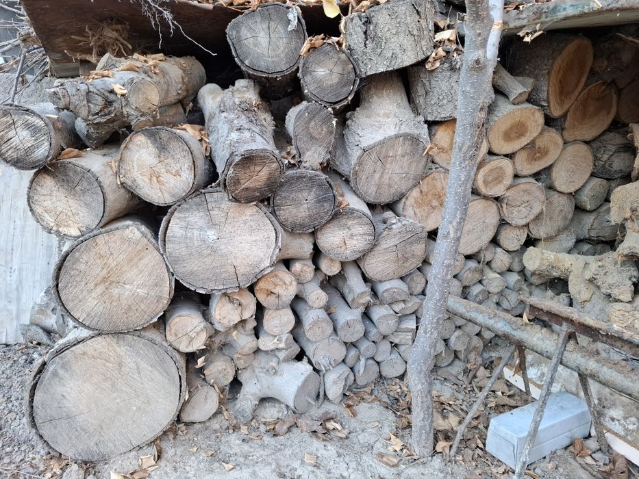 O'tin bor g'o'la reka aralash