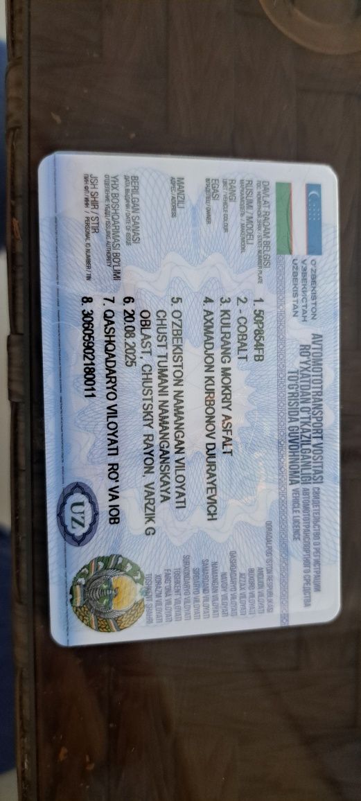 Мошина умуман азоб емаган