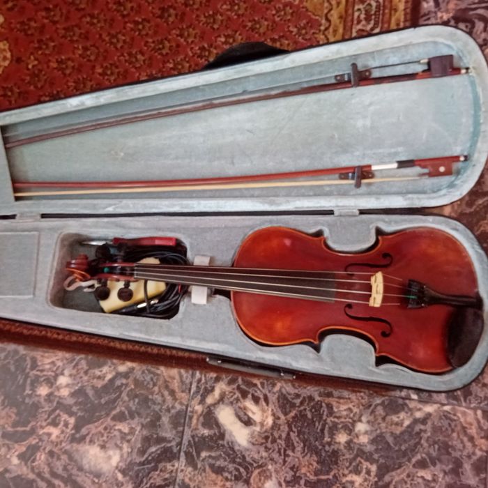 Viioara în stare buna