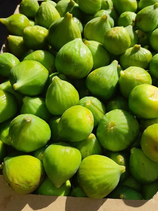 Dulceață de smochine și gem de smochine fără îndulcitori