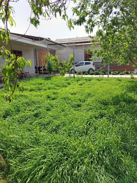 Уй сотилади Кибрай тумани Кипчок МФЙ  4.5 сотих