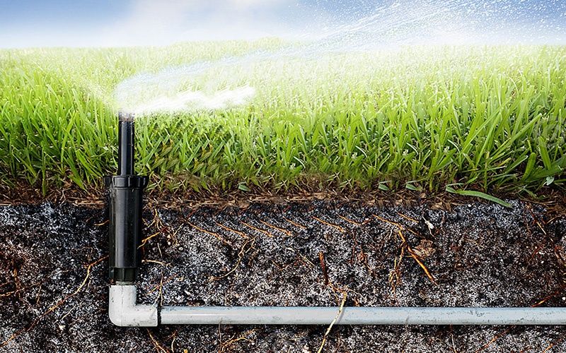 Рулонный газон от производителя с гарантией