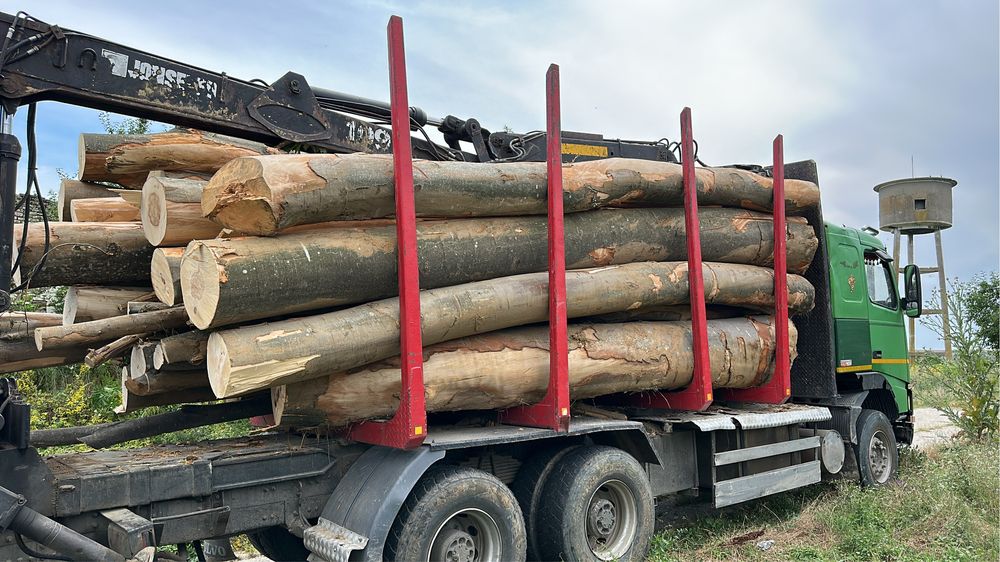 Lemne de foc FAG STEJAR