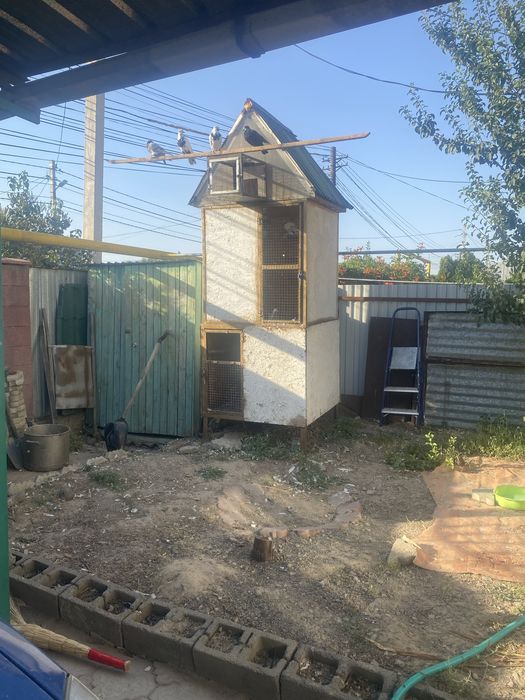 Продам голубятню