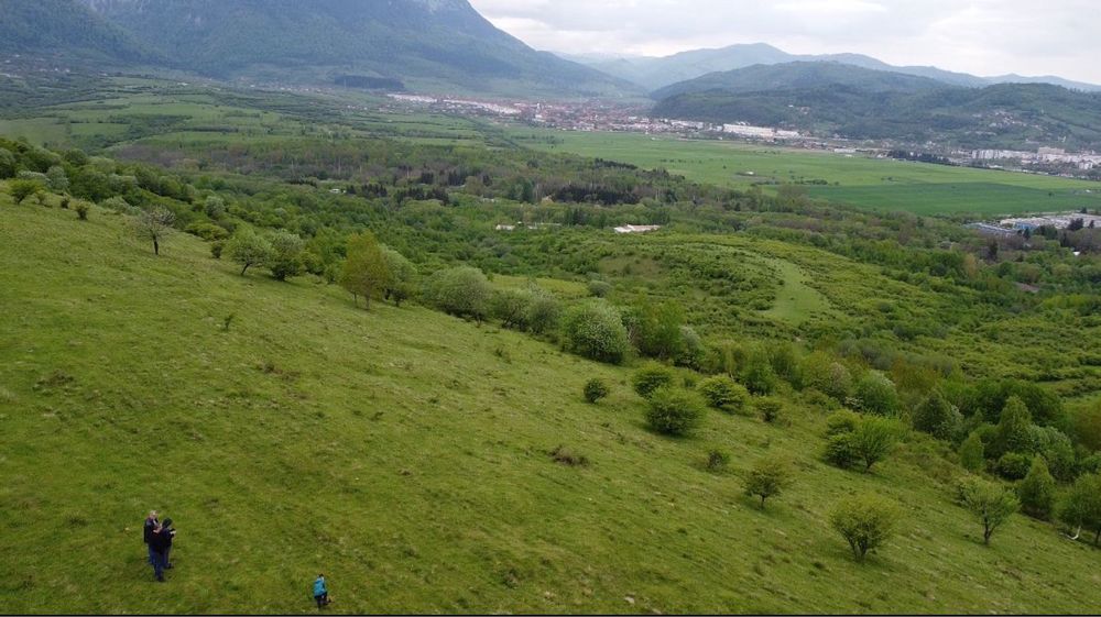 Teren de vânzare ideal pentru camping sau cabane in linistea naturii