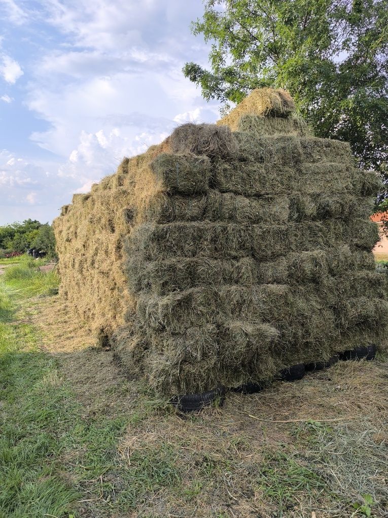 Vând baloți de fân