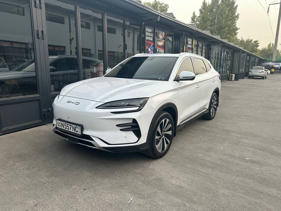 BVD song CHENPION 2023