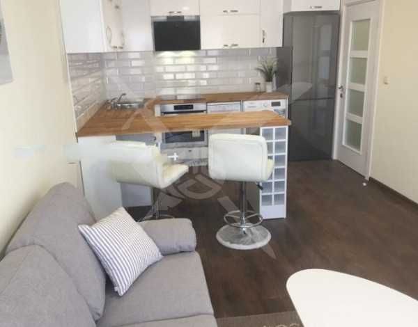 Двустаен апартамент под наем в Центъра 1826701