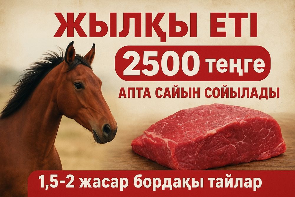 Соғым жылқы еті. Конина мясо.