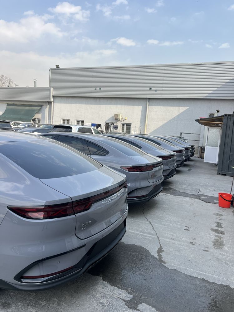 BYD Han qora oq narda grey