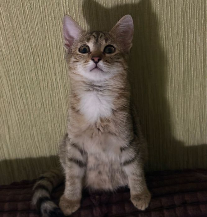 Только ответственным