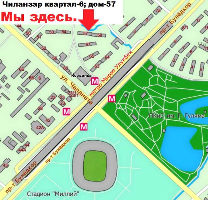 Рождественская или кубинская вишня