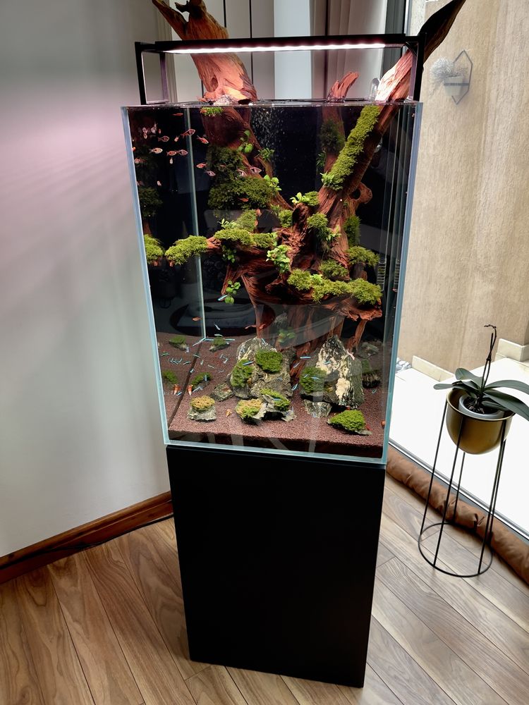 Acvariu 175L sticla ultraclara