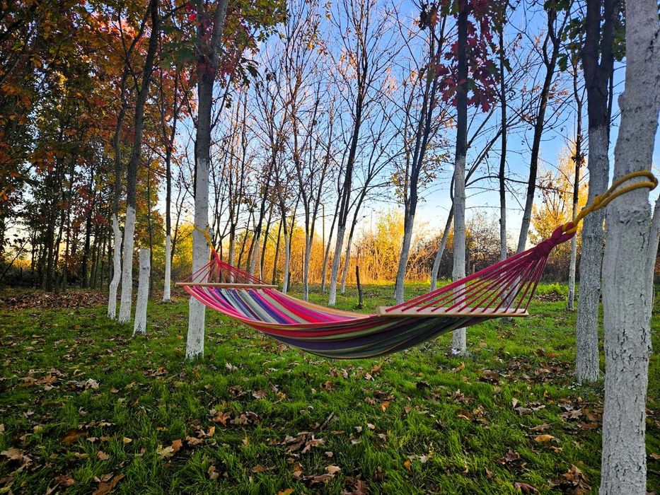 Închiriez teren gradina urbana pentru recreere - București