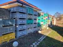 De vânzare Boxpaleti plastic