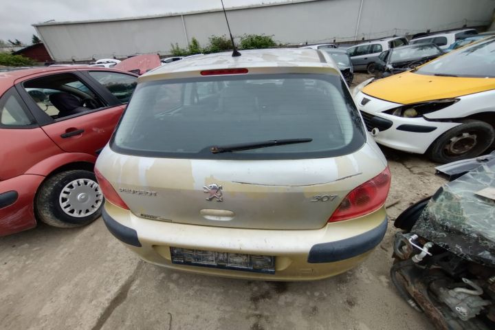 Capota motor Peugeot 307 prima generatie
