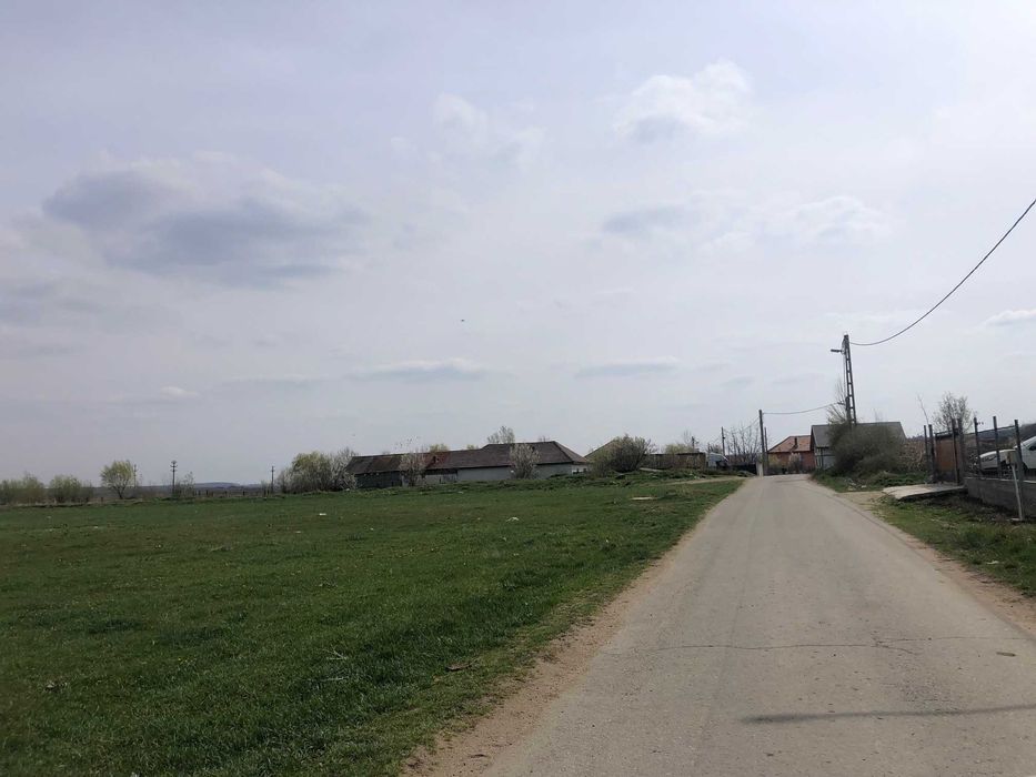 Teren 3000 mp Podari-Livezi