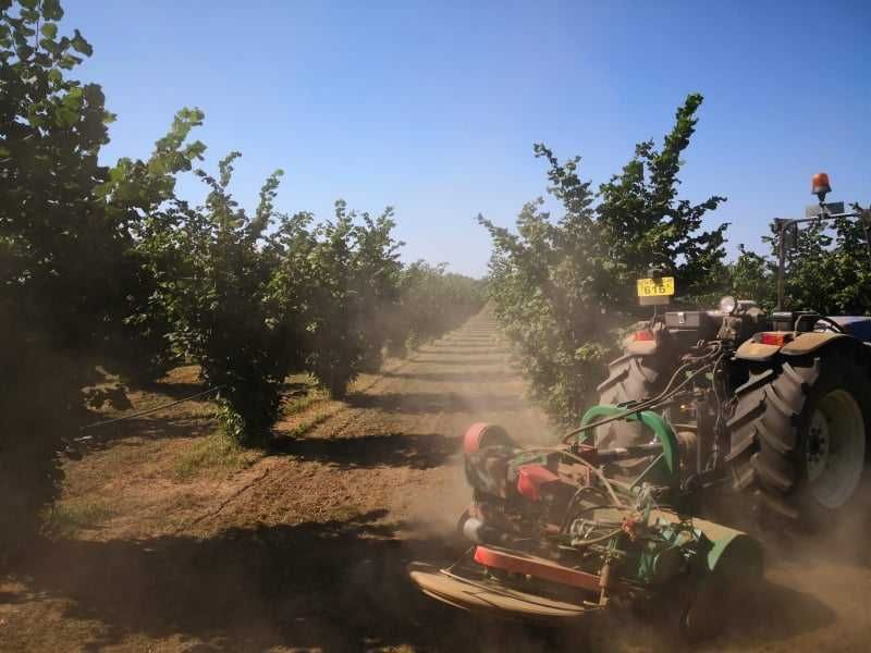 Infiintare plantatie mecanizat, plantatie  gps , infiintare livada