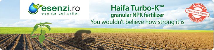 HAIFA MAP (12-61-0)