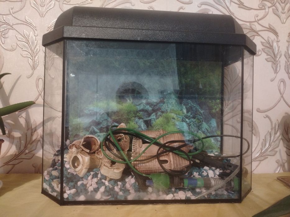 Продам аквариум 20000