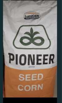 Семена кукурузы Пионер
