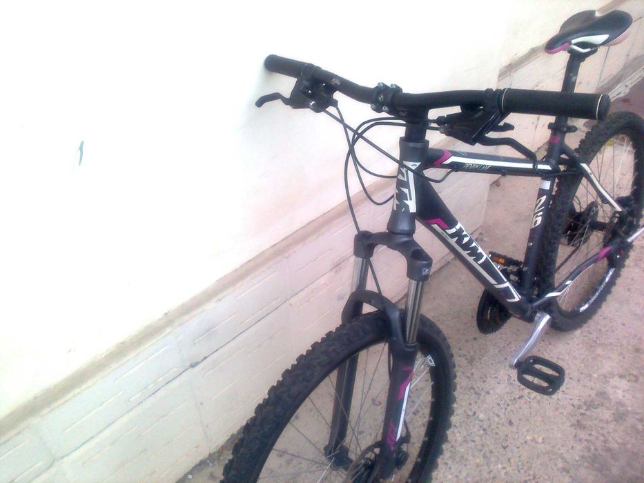 KTM Penny Lane Disc Original