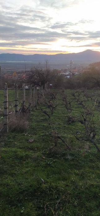 Вилен Имот Карлово