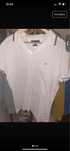 Tricou nou polo barbat Tommy H.