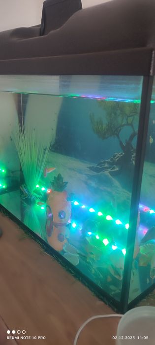 Аквариум сатылады