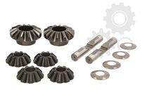 Kit sateliti grup Mercedes Sprinter VW LT Piese grup diferential