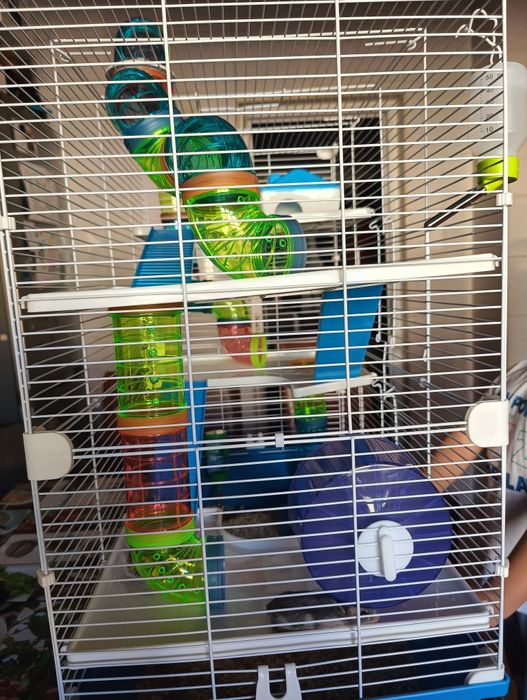 Cusca hamsteri (+ 3 hamsteri )veverițe și alte rozatoare , mare  cu tu