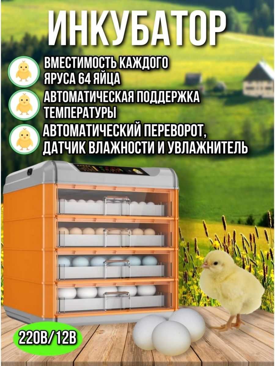 Инкубатор автоматический

Успей купить по старой цене!