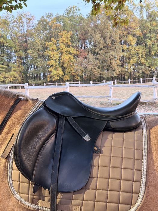 Sa echitatie calarie, Bates cai, obstacole