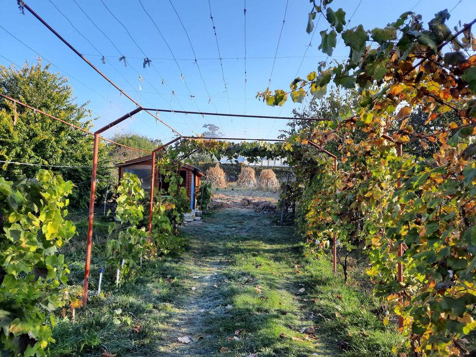 Vand teren in cartierul Trestiana Dorohoi sau schimb cu ap in Iasi