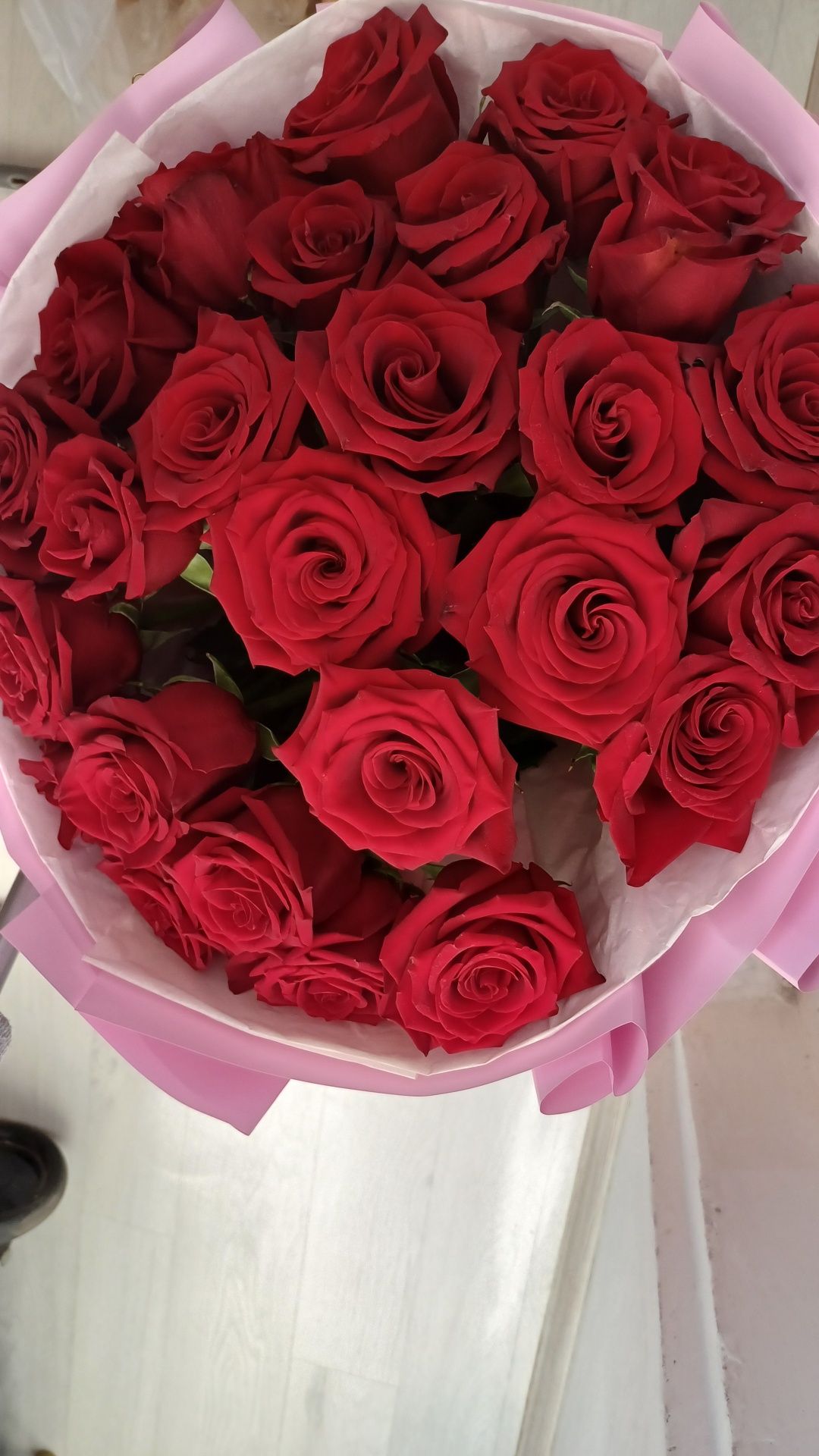 Пролам розу 25шт