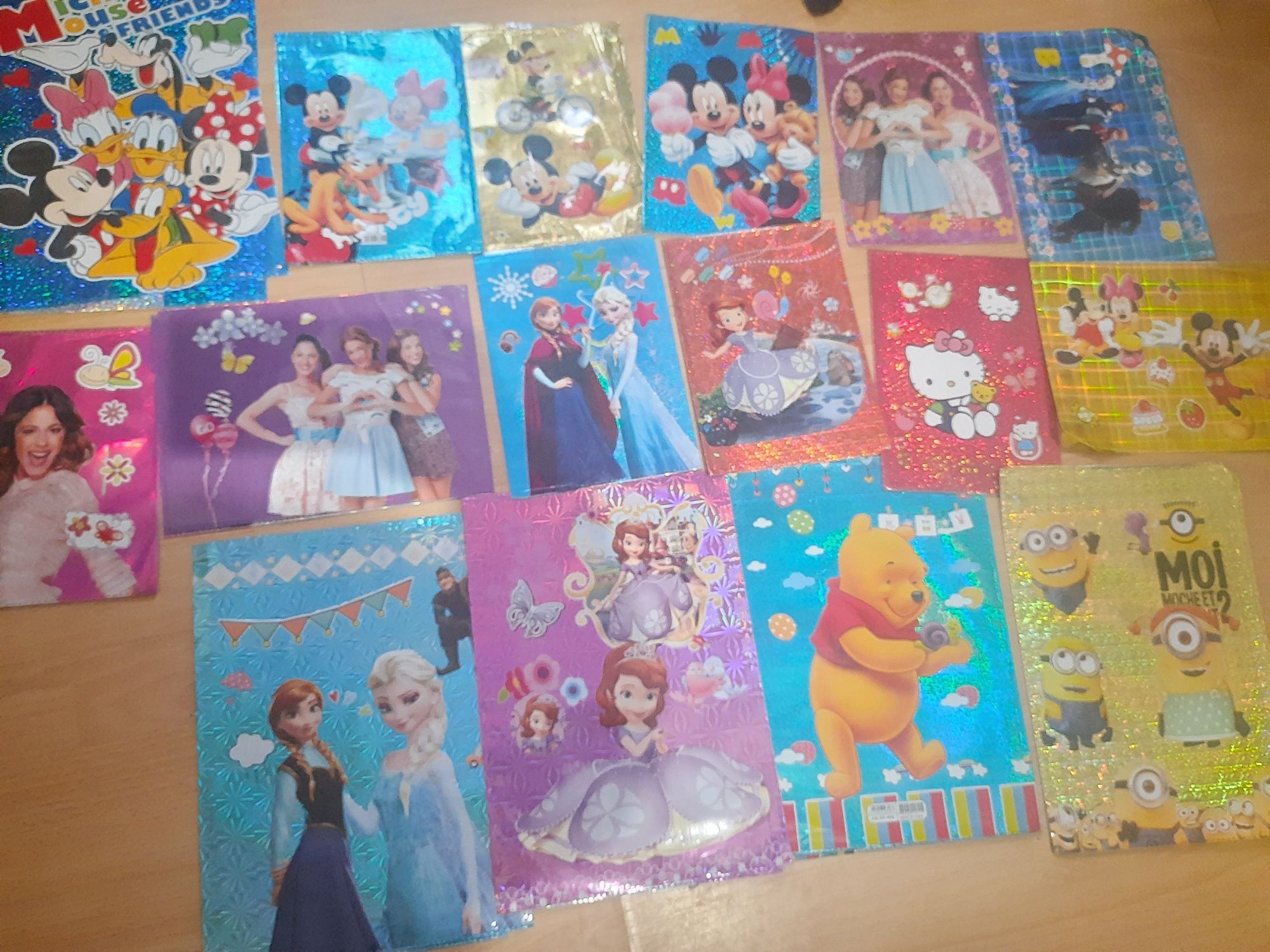 Coperti noi 3D : Sofia ,Frozen,Hello Kitty,Disney toate100 lei+cadou