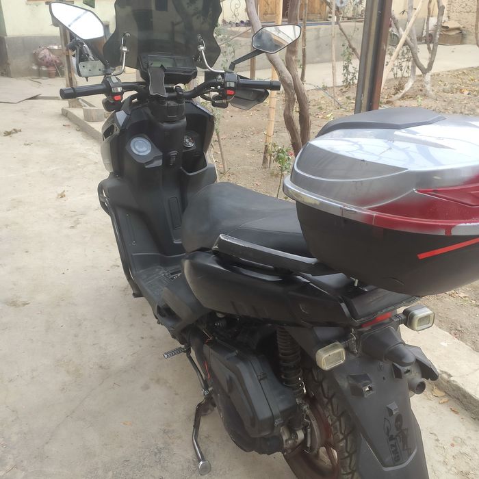 Moto tank drongo