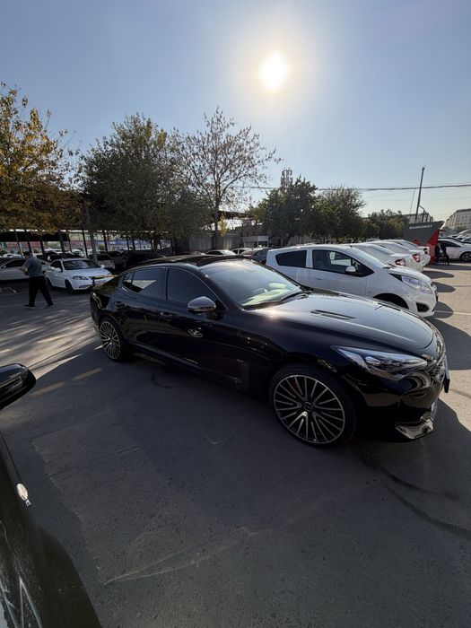 Kia stinger xolati alo darajada