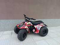 Детско ATV Suzuki LT50