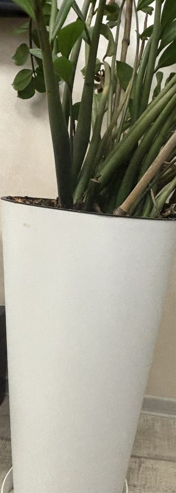 Ghiveci pentru flori alb vertical (vas+ghiveci)